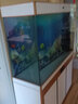 汉霸超白玻璃鱼缸 生态底滤循环系统 鱼缸客厅 家用智能懒人 水族箱 金+白 靠墙款1.16米长x40cm宽x75cm+80cm 实拍图