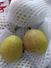 鑫果滋【顺丰新疆直发】新疆库尔勒香梨特级梨子贡梨中秋送礼水果全母梨 【超甜全母梨】【新疆直发】 9斤 一级果(单果100-120g) 彩箱 实拍图
