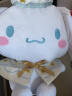 Cinnamoroll 三丽鸥大耳狗毛绒公仔玉桂狗玩偶布娃娃生日礼物 12号白金系列 实拍图