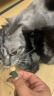 凯锐思 幼猫成猫咪猫用营养膏化毛膏猫咪吐毛球调肠胃排毛英短蓝猫120g 【化毛补营养搭配】化毛膏*1支+维生素1瓶 实拍图