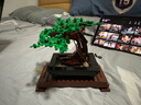 乐高（LEGO）积木拼装玩具 创意百变系列 10281盆景 18岁+ 六一儿童节礼物 实拍图
