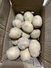 楚川恩施小土豆9斤正宗新鲜洋芋迷你黄心土豆湖北马铃薯蔬菜 5斤 小土豆(鸡蛋左右大小) 实拍图