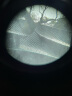 胜途（Shuntu）新品π系列ED双筒望远镜高倍高清微光夜视防水防雾寻蜂观鸟景礼物 π 8X42ED 实拍图
