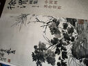 经典全集 徐渭画集 8开中国画临摹画册书籍写意泼墨水墨国画杂花图花鸟技法教材程高清临本册页 初学者花卉名作赏析鉴赏杨建飞主编 实拍图