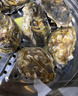 劲霸青芥辣 刺身鲜露230g+青芥辣43g寿司料理 实拍图