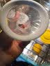 美德乐（Medela）电动吸奶器 舒悦升级版多功能护罩 母乳收集护罩配件 30mm*2 实拍图