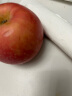 京鲜生烟台红富士苹果12个礼盒净重2.1kg起单果160-190g水果 晒单实拍图