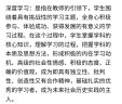 深度学习教学改进丛书 深度学习：走向核心素养（学科教学指南·初中化学） 实拍图