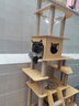 猫爬架太空舱木质多层大型猫树猫架带窝宠物用品 【萌喵乐园Y2】加大双猫窝双太空舱（升级实木立柱） 家具板 实拍图