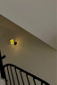 施科普（SHIKEPU） 北欧美式壁灯简约现代客厅墙灯卧室客厅书房床头灯过道楼梯灯具 8030配LED三色灯泡 晒单实拍图
