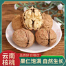 2024年新货老树纸皮薄皮核桃原味无漂白年货坚果孕妇小孩高山野生 云南老品种薄皮核桃1.01斤-大果 实拍图