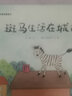 明天原创图画书-斑马生活在城市 实拍图