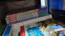 小学生课外阅读经典 全8册 三四五六年级必读课外书 初中生课外阅读 朱自清 老舍 鲁迅 林徽因 徐志摩经典作品 实拍图