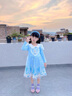 蓓然美爱莎公主裙秋装2025艾莎网纱裙女童连衣裙儿童聚会服生日礼物 蓝裙+披纱 120码 实拍图