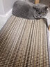 哈宝哈贝优质剑麻猫抓垫猫抓板猫睡垫凉席加厚耐磨脚垫窝垫防猫抓保护沙发 40*60CM【线边+无痕钉】 颜色随机 实拍图