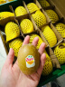 佳沛（zespri）新西兰阳光金奇异果16粒礼盒经典果单果约80-103g水果 猕猴桃 实拍图