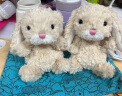 Jellycat 甜美小兔 小短腿可爱公仔毛绒玩具小玩偶生日礼物 甜美小兔 H15 X W9 CM 实拍图