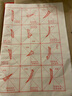 善琏湖笔 笔画描红练字毛笔楷书初学者欧体柳公权临摹字帖成人毛笔字练习纸入门小学生软笔毛笔纸颜体宣纸 欧体基本笔画描红 白色 实拍图