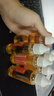 【万单爆款】家用微分子润滑剂门锁防锈机械轴承链条缝纫机黄油 一秒润滑丨防腐防锈【30ml*6瓶】 实拍图