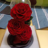 花逅永生花玫瑰花礼盒情人节圣诞节礼物送女友生日礼物女生高级感摆件 三生三世&红色 实拍图