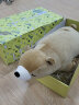 LIV HEART日本北极熊睡觉抱枕毛绒玩具布娃娃公仔陪伴玩偶生日礼物 北极熊咖啡棕(常规款) M号 实拍图