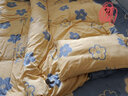 雅鹿100%纯棉床上四件套裸睡床单被套双人家用床笠被罩学生宿舍三件套 假日小狗【100纯棉 适合裸睡】 1.8m 床单款 四件套-被套200*230cm 实拍图