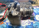 佳能Canon 5D4 6D2 5D3 5D2 6D 二手全画幅单反相机 专业级4K高清旅游数码相机 5D3（50mmF1.8 STM套机） 标配 99成新 晒单实拍图
