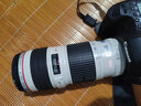 佳能 Canon 70-200 f2.8L f4 IS II二手镜头二代小白兔大白单反长焦人像远射 佳能EF 70-200 F4L USM 小小白 99新 实拍图