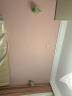远盛达壁灯卧室床头灯现代简约客厅书房间楼梯过道灯法式花朵餐厅墙壁灯 【B款绿色】三色变光 法式奶油风 实拍图