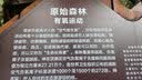兄弟俩+红脸儿（肖复兴少年成长小说2本套装）儿童读物 课外读物 小学生读物  实拍图
