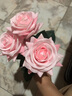 花艺赫家饰手感保湿仿真玫瑰花装饰花干花客厅装饰摆设仿真花束假花餐桌摆件 香槟手感如雪角玫【5支】 实拍图