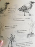 花鸟绘 超精致的黑白手绘基础教程 实拍图