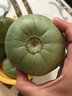 财莱乐绿宝石小香瓜绿宝甜瓜水果新鲜5斤当季时令脆瓜山东10 净重5斤中果（9-12个果） 实拍图