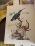观鸟图鉴：荷兰皇家图书馆珍藏鸟类观察笔记 实拍图