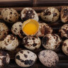 鲜窝窝 新鲜生鹌鹑蛋 鹑鸟蛋 生鲜蛋 附卤蛋料包 150枚 有卤料包 实拍图