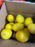 维记四川安岳黄柠檬鲜果一级大果当季新鲜水果皮薄好果泡水小柠檬 精选大果 10粒装 晒单实拍图