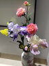 掬涵仿真鸢尾花梵高爱丽丝软装饰摆放假花高级感客厅室内花艺造型摆件 穹(80cm) 实拍图