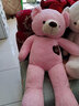 公主熊毛绒玩具泰迪熊公仔抱抱熊大号熊猫娃娃女孩生日礼物送女友情人节 粉红色 1.2米 实拍图