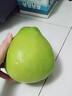 松筱广东梅州沙田柚子白肉蜜柚正宗梅县老树冰糖金碌柚新鲜时令水果 40年老树果王普通装 精选中果带箱10斤 实拍图