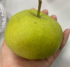 世果达正宗吉林延边州苹果梨霜后延吉龙井东北特产新鲜水果顺丰大白梨 5斤超大果【单果350g+】普快 实拍图
