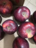 卡布诺云南昭通黑卡嘎啦苹果黑钻紫色浪漫圣诞苹果平安果新鲜稀有水果 9斤中小果70-75mm 实拍图