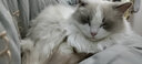 安迪优美兔子兔兔窝 龙猫天竺鼠荷兰猪草窝 保暖草垫  草窝兔子兔兔窝龙猫 大号拱形草窝 实拍图