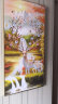 六小居玄关装饰画竖版现代简约客厅过道走廊挂画柿子图柿柿如意大气壁画 01款/万事如意 60*120CM//布艺画+ps金色框 实拍图