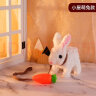 育儿宝（YuErBao）儿童玩具小兔子毛绒仿真动物会走会叫男孩女孩宝宝3-6岁生日礼物六一儿童节 实拍图