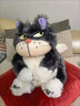 嘉百利毛绒玩具路西法猫玩偶搞怪沙雕生日女生礼物送女朋友实用创意公仔 路西法猫猫25厘米 收藏加购 优先发货 实拍图