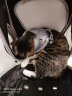 共度（Gong Du）宠物背包便携带猫包泰迪小狗狗双肩猫包猫书包喵笼子太空舱航空箱 白拼红 升级款侧开门 实拍图