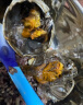 醉蟹全母1.4kg 醉河蟹  个个带膏宁波特产上海风味 即食酱螃蟹 900g小醉河蟹（公母随机） 实拍图