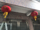 祥福缘灯笼新年装饰品大红灯笼灯植绒布婚庆节庆大门led灯春节年货节 1对装+花开富贵100#+灯+ 56cm 实拍图