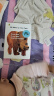 【79元任选5册】英文原版绘本 DearZoo亲爱的动物园 Brown Bear棕熊 Caterpillar好饿的毛毛虫 Spot 小玻 Where Is Belly Button Brown Bea 晒单实拍图