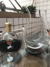 SingLe派红酒杯套装轻奢欧式玻璃杯家用高脚杯高档葡萄酒杯架子醒酒器酒具 旷世6只+旋涡旋转醒酒器+花船 实拍图